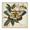 Stupell Industries Vintage Moth & Plant Study Canvas Wall Art Design by Steve Huntziker